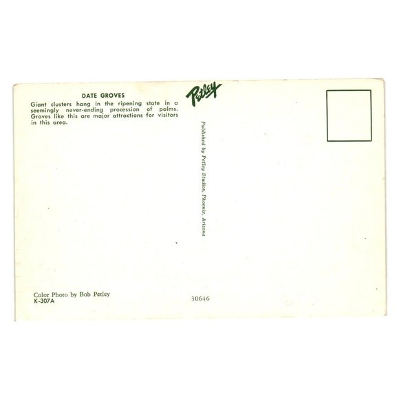 Vintage Postcard Date Grove Farmer Palm Trees Roadside Attraction Fruit Food - Picture 2 of 2